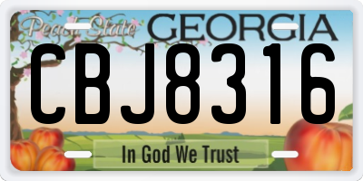 GA license plate CBJ8316