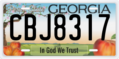 GA license plate CBJ8317