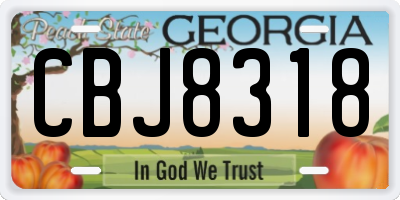 GA license plate CBJ8318