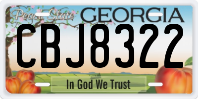 GA license plate CBJ8322