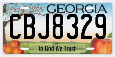 GA license plate CBJ8329