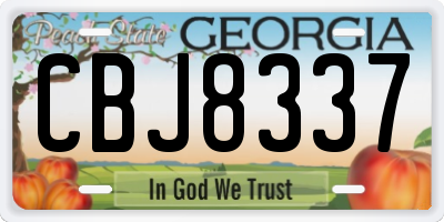 GA license plate CBJ8337