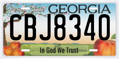 GA license plate CBJ8340