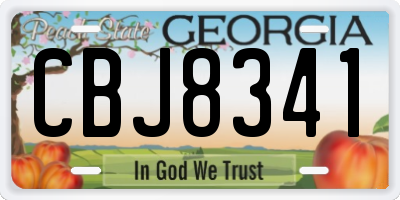 GA license plate CBJ8341
