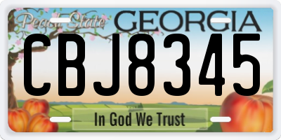 GA license plate CBJ8345