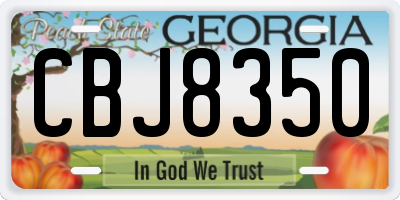 GA license plate CBJ8350