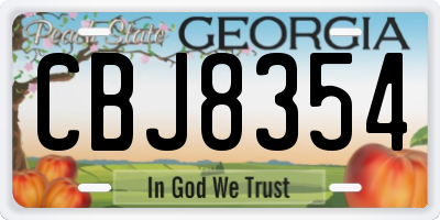 GA license plate CBJ8354
