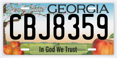 GA license plate CBJ8359