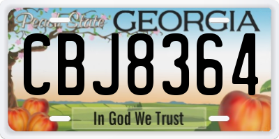 GA license plate CBJ8364
