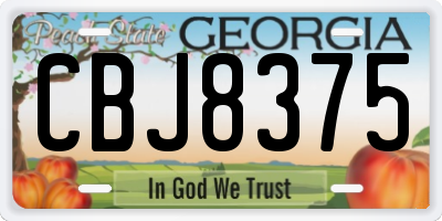 GA license plate CBJ8375