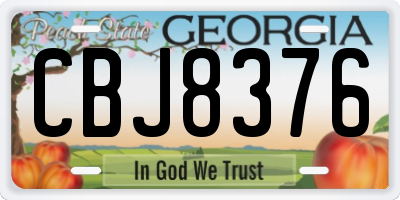 GA license plate CBJ8376