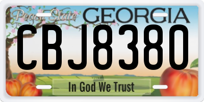 GA license plate CBJ8380