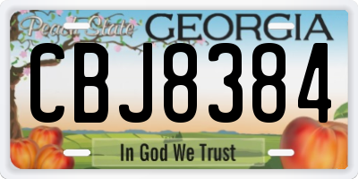 GA license plate CBJ8384