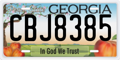 GA license plate CBJ8385