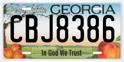 GA license plate CBJ8386