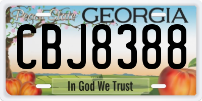 GA license plate CBJ8388
