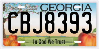 GA license plate CBJ8393