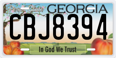 GA license plate CBJ8394