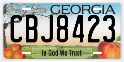 GA license plate CBJ8423