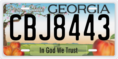 GA license plate CBJ8443