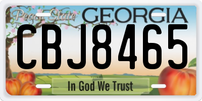 GA license plate CBJ8465