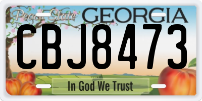 GA license plate CBJ8473