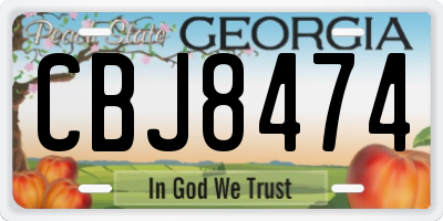 GA license plate CBJ8474