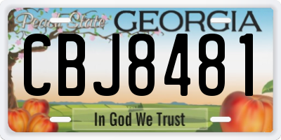 GA license plate CBJ8481