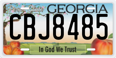 GA license plate CBJ8485