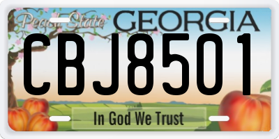 GA license plate CBJ8501