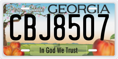 GA license plate CBJ8507
