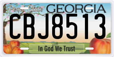 GA license plate CBJ8513