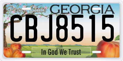 GA license plate CBJ8515