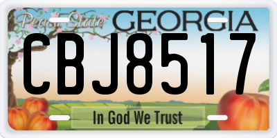 GA license plate CBJ8517