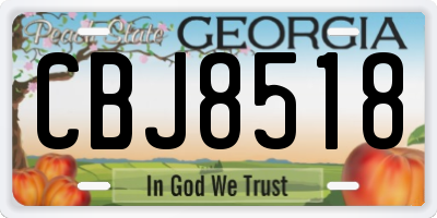 GA license plate CBJ8518