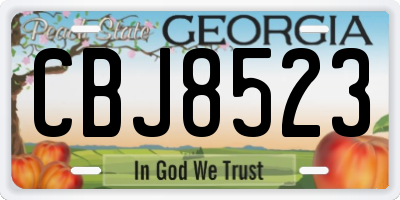 GA license plate CBJ8523