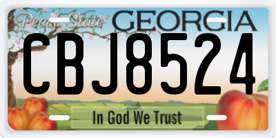 GA license plate CBJ8524