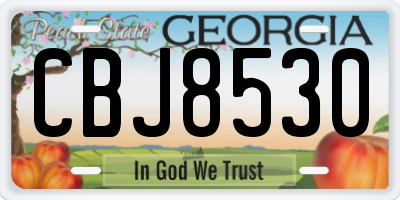 GA license plate CBJ8530