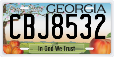 GA license plate CBJ8532