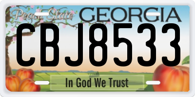 GA license plate CBJ8533