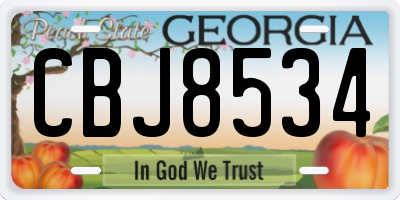 GA license plate CBJ8534