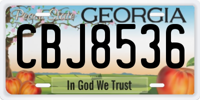 GA license plate CBJ8536