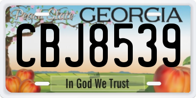 GA license plate CBJ8539