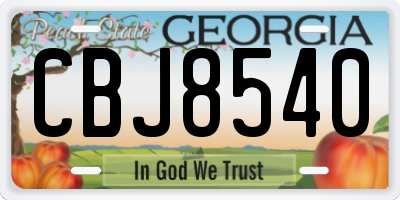 GA license plate CBJ8540