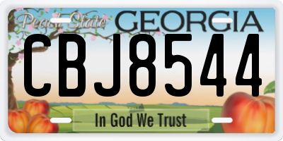 GA license plate CBJ8544