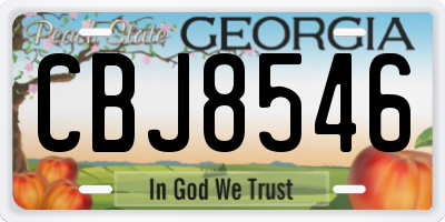 GA license plate CBJ8546