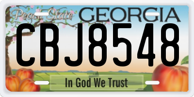 GA license plate CBJ8548