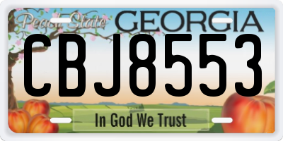 GA license plate CBJ8553