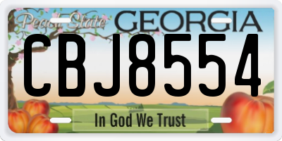 GA license plate CBJ8554