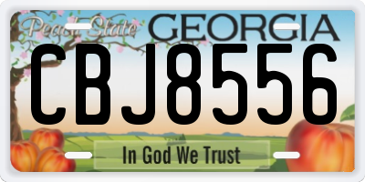 GA license plate CBJ8556